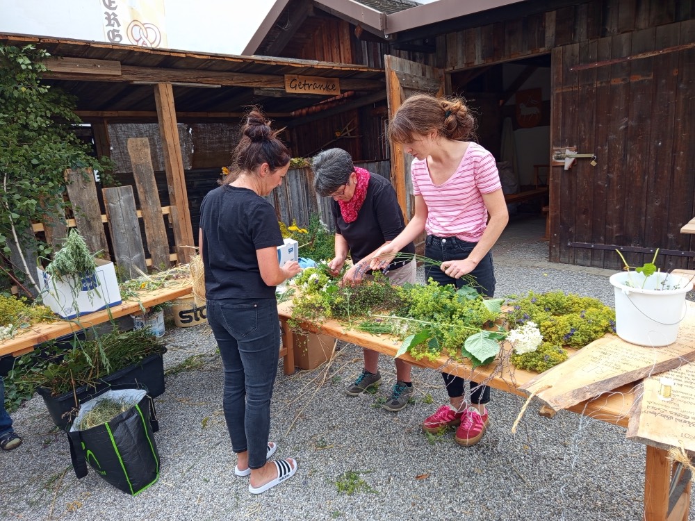 anno1455_Vorbereitung-Aufbau81611